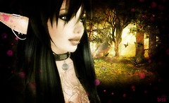 butterfly whispers..