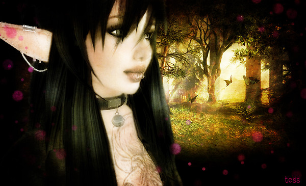 butterfly whispers..