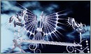 The Birth of Flight [Burning Life 2009]