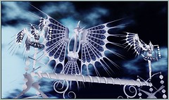 The Birth of Flight [Burning Life 2009]