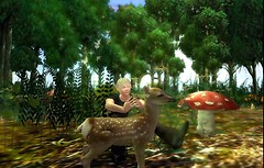 Mamut az erdoben_006