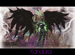 xandora