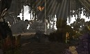 Garden of Dreams 2 *GOD* - Liqueur Felix