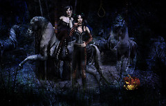 Take a ride with us...if you dare... 