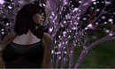 One Pink Night