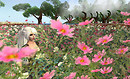 In the meadow @ Wanderstill