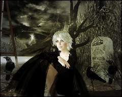 raven