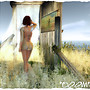 BOOM blog 2
