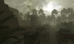 The Ancient Mayan Empire - The Maya Rainforest_006