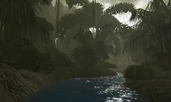 The Ancient Mayan Empire - The Maya Rainforest_008