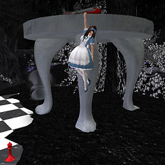 Fi_in_Wonderland