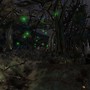 Wasted Night - Koinup Burt