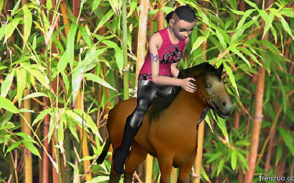 Cute horse, let's go!