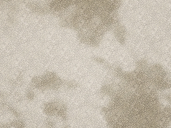 for Virtual Wallpaper Contest