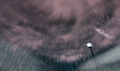 reach to the sky in the rain - Torley Olmstead