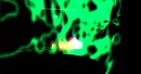 Snapshot_014