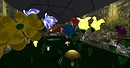 Snapshot_008