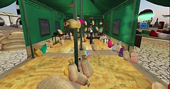 Snapshot_001