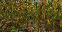 hLLOWEEN_014