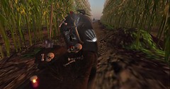 hLLOWEEN_009