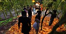 hLLOWEEN_003