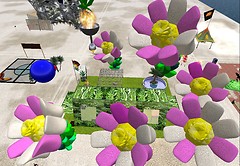 Marshmallow Playa Flowers? - Chimera Cosmos