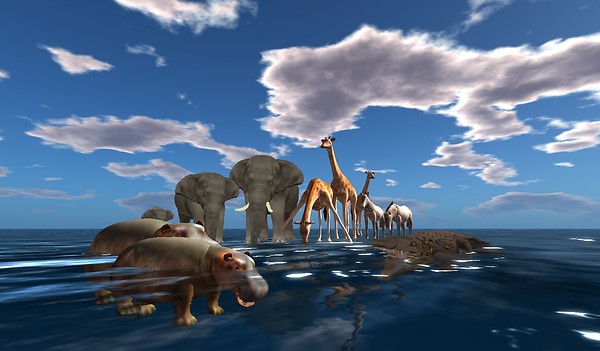 Tha animals came two by two