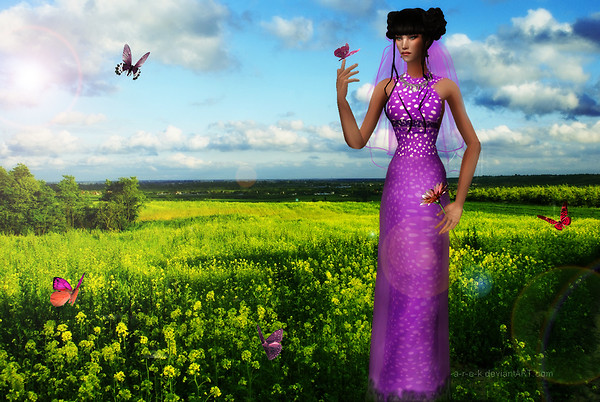 Butterflies