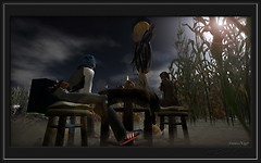 The corn field_006