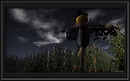 The corn field_025