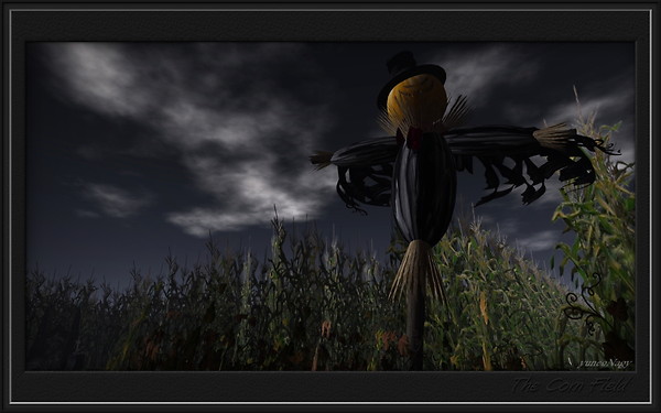 The corn field_025