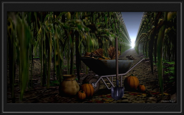 The corn field_001