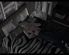 Fonder 1 [TS2]