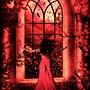 through the glass window...