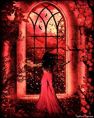 through the glass window...