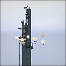 Inter'ZONE Vertical