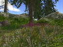 Dream Acres 2
