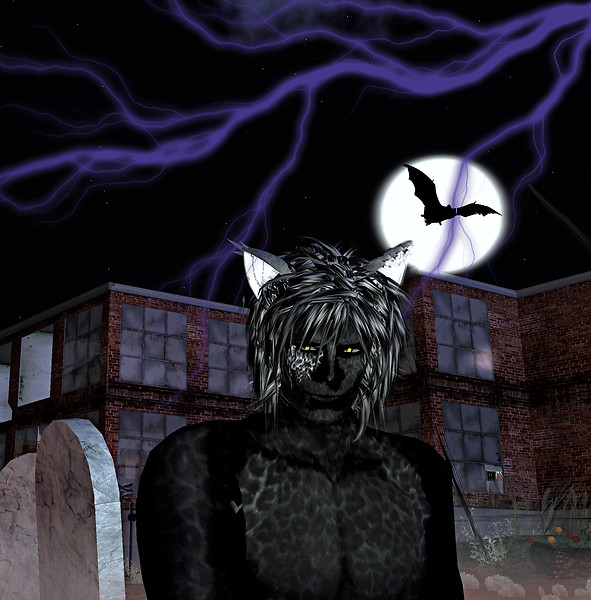 Halloween Neko