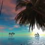 Miramar OS_003b