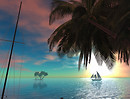 Miramar OS_003b