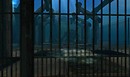 between the bars i see a robot and he looks kinda sad - Torley Linden