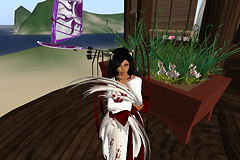 Snapshot_017