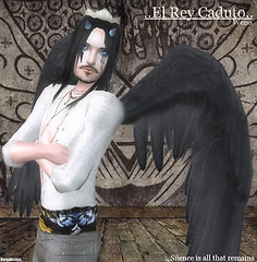 Corazon Espinado