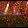 Autumn Forest @ Heart Botanicals