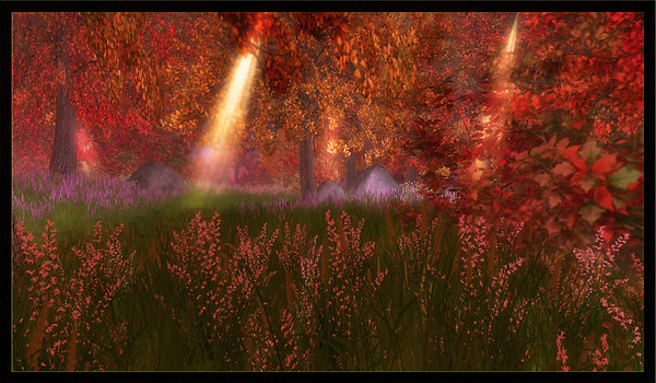 Autumn Forest @ Heart Botanicals