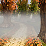 Cold Autumn Morn