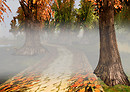 Cold Autumn Morn