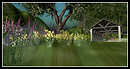 Dreamacres 6