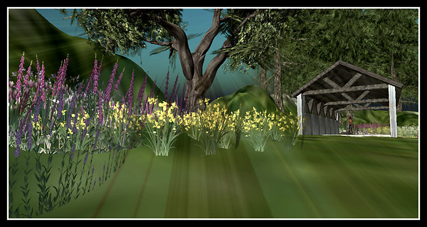 Dreamacres 6