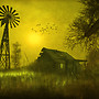 In the Countryside...